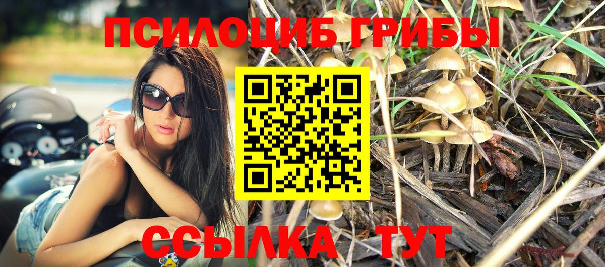 Верхняя Салда  закладки  Вход с VPN  Галлюциногенные грибы Psilocybine cubensis 