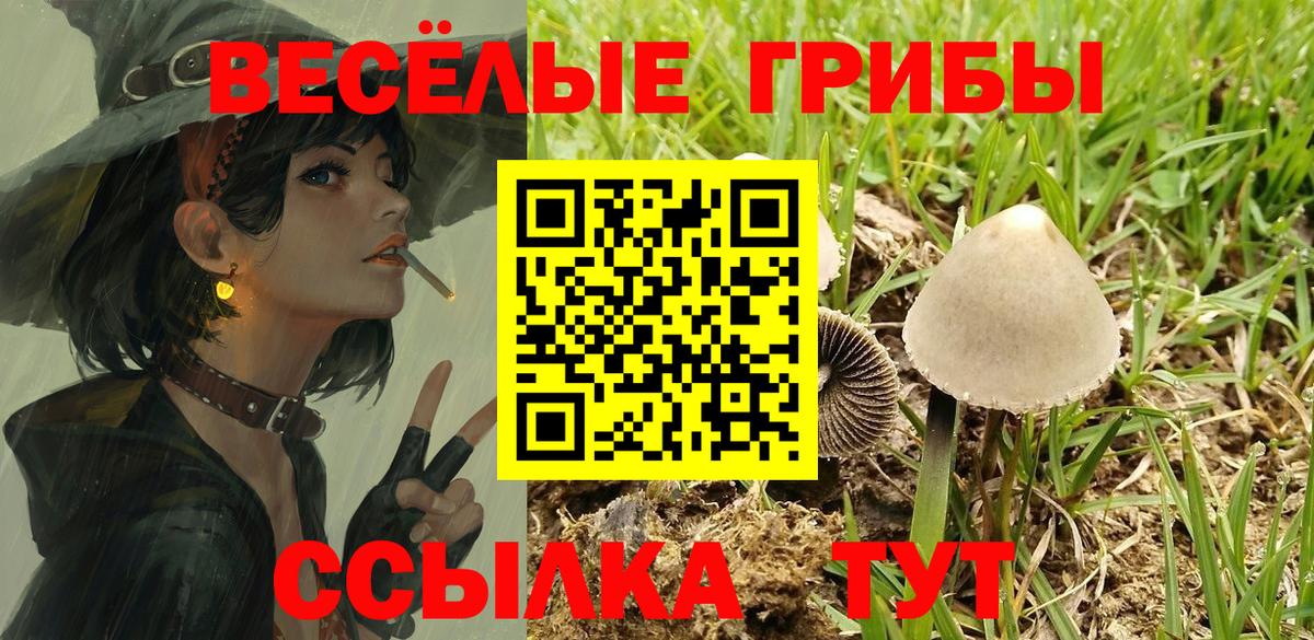 Псилоцибиновые грибы MAGIC MUSHROOMS Верхняя Салда